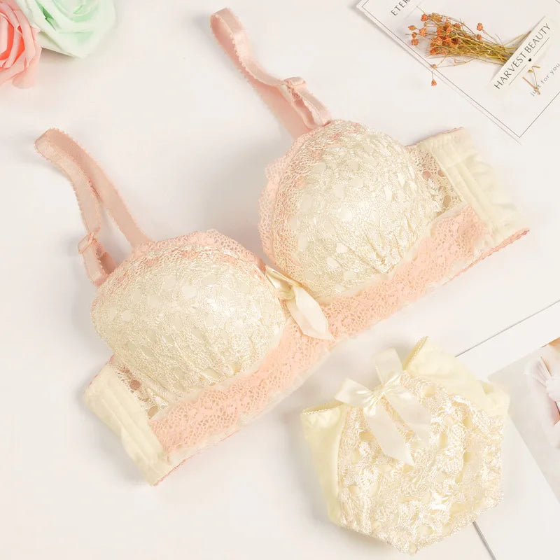 Push-up Bra and Panty Sets Beauty Back Sexy Women's Underwear Set Lace Female Brassiere Embroidery Lingerie Set