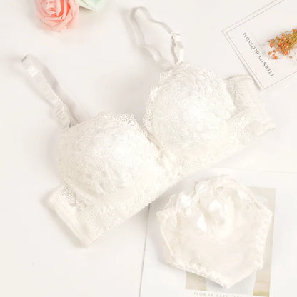 Push-up Bra and Panty Sets  Beauty Back Sexy Women's Underwear Set Lace Female Brassiere Embroidery Lingerie Set