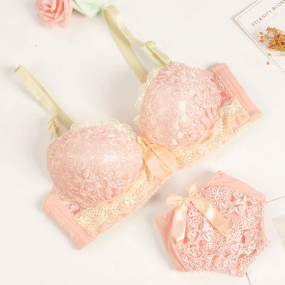 Push-up Bra and Panty Sets  Beauty Back Sexy Women's Underwear Set Lace Female Brassiere Embroidery Lingerie Set
