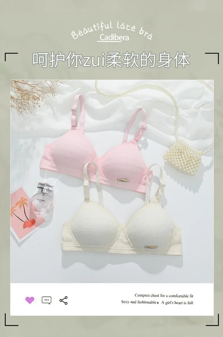 Women Bra Set Sport Lingerie Non-Wire Bralette Top Sexy Low Waist Panties Female Seamless Underwear Set Sleep Intimates