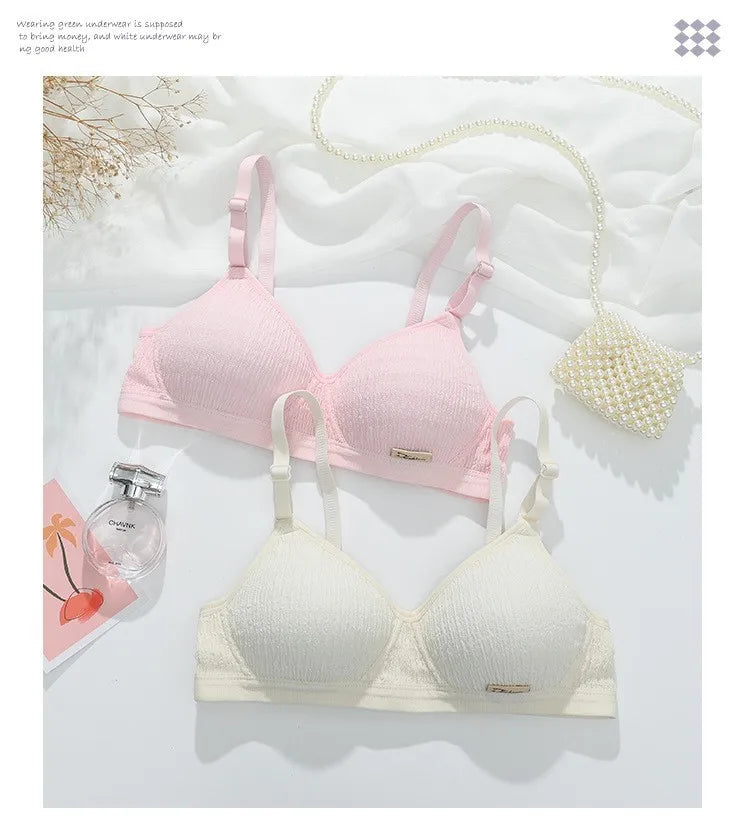 Women Bra Set Sport Lingerie Non-Wire Bralette Top Sexy Low Waist Panties Female Seamless Underwear Set Sleep Intimates