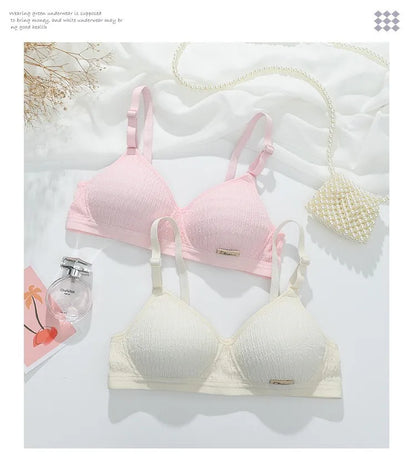 Women Bra Set Sport Lingerie Non-Wire Bralette Top Sexy Low Waist Panties Female Seamless Underwear Set Sleep Intimates