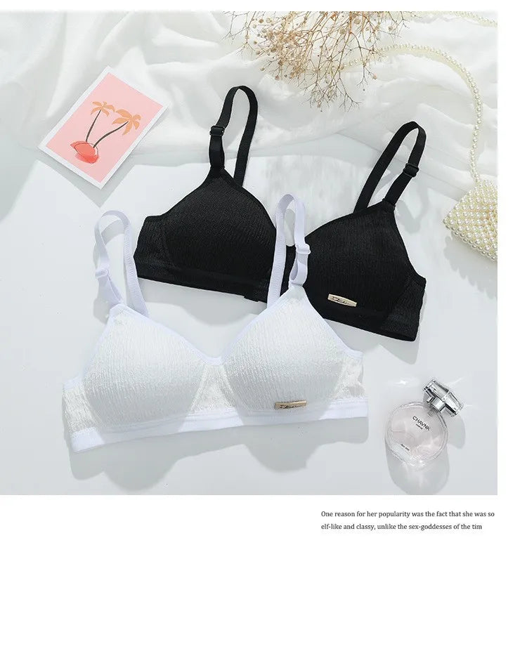 Women Bra Set Sport Lingerie Non-Wire Bralette Top Sexy Low Waist Panties Female Seamless Underwear Set Sleep Intimates
