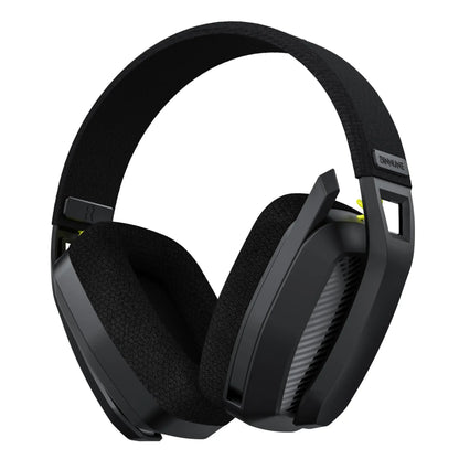 BINNUNE BW06 Bluetooth Headsets Gamer with Mic for PS5 PS4 PC Mac Playstation Wireless 2.4GHz Gaming Headphone with Microphone