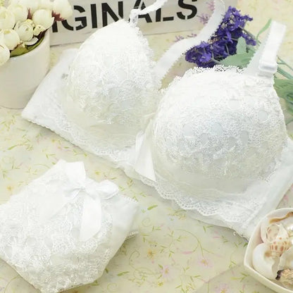 Push-up Bra and Panty Sets  Beauty Back Sexy Women's Underwear Set Lace Female Brassiere Embroidery Lingerie Set