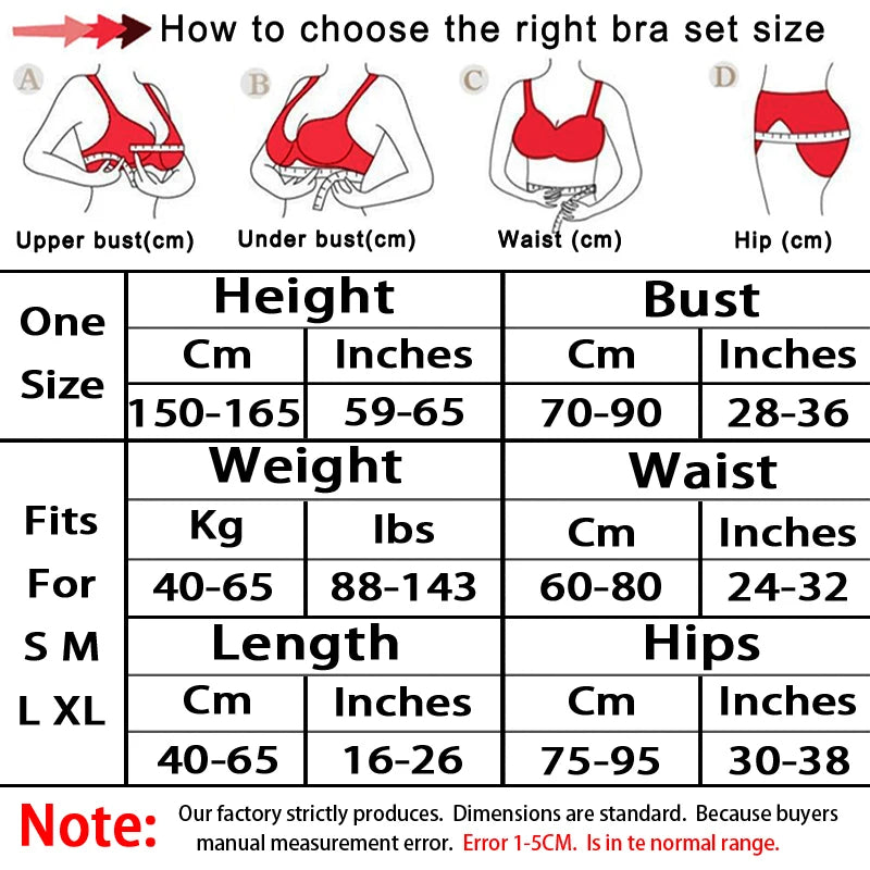 Sexy Bra & Brief Sets Woman Lace Transparent Underwear Fairy Embroidery Brief Sets Delicate Bra Kit Lingerie Thin Erotic Bras