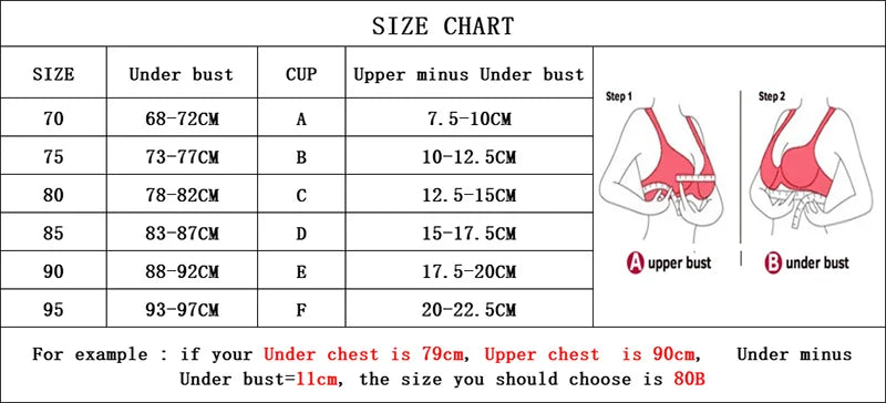 Women Sexy Bra Set Push Up Ladies Lingerie Set Elegant Underwear Casual Daily Bra and Panty Set