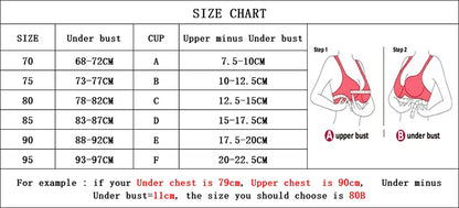 Women Sexy Bra Set Push Up Ladies Lingerie Set Elegant Underwear Casual Daily Bra and Panty Set